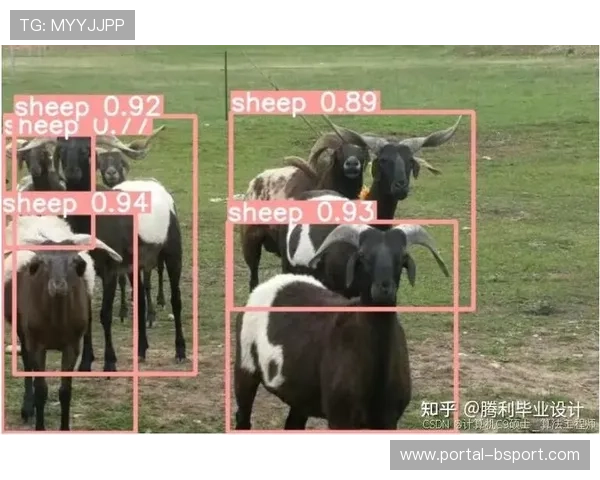 迁移学习训练YOLO模型，快速识别篮球与篮筐